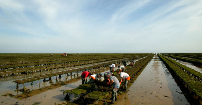 3GRANDCAMP-MAISY-Parcs-a-hui-3