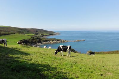 La mer et la campagne